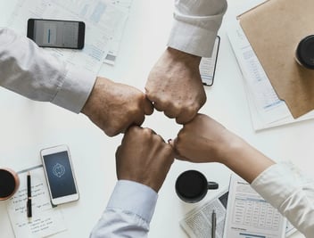 vendor management systems 2024